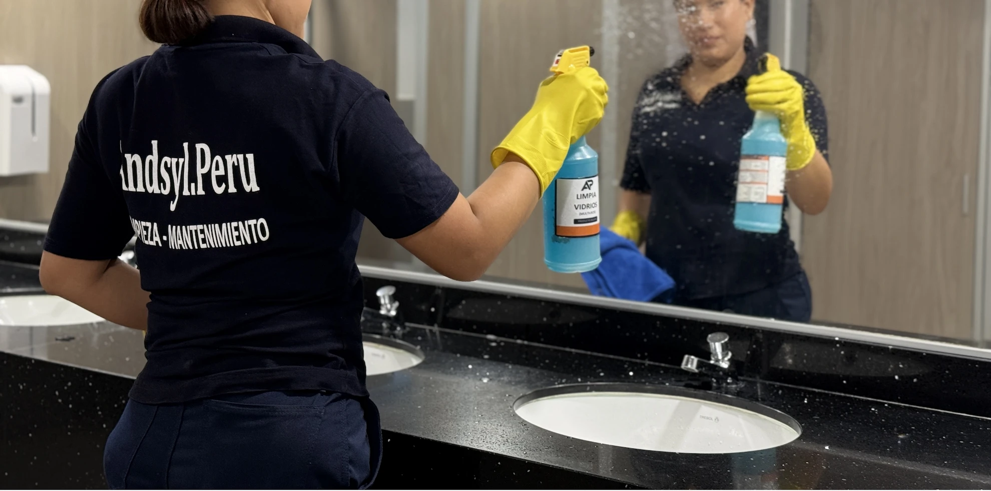 Limpieza y mantenimiento de servicio sanitario